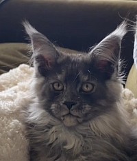 Abby